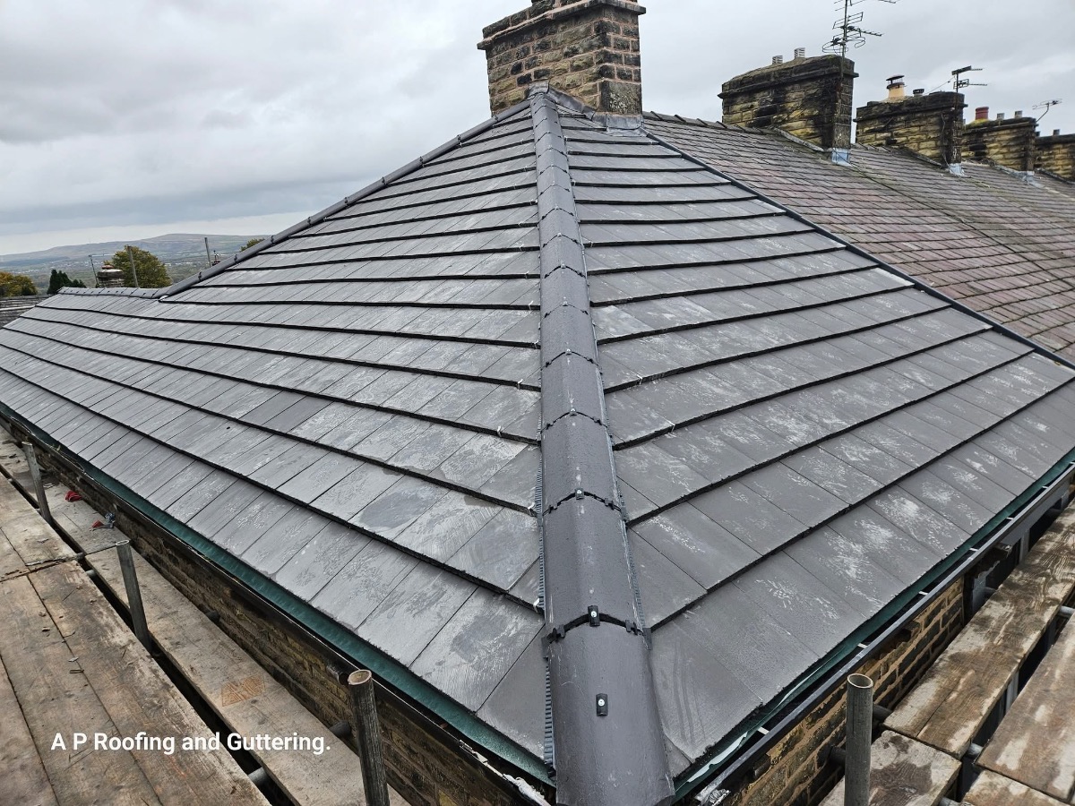 Roofer: Image 4